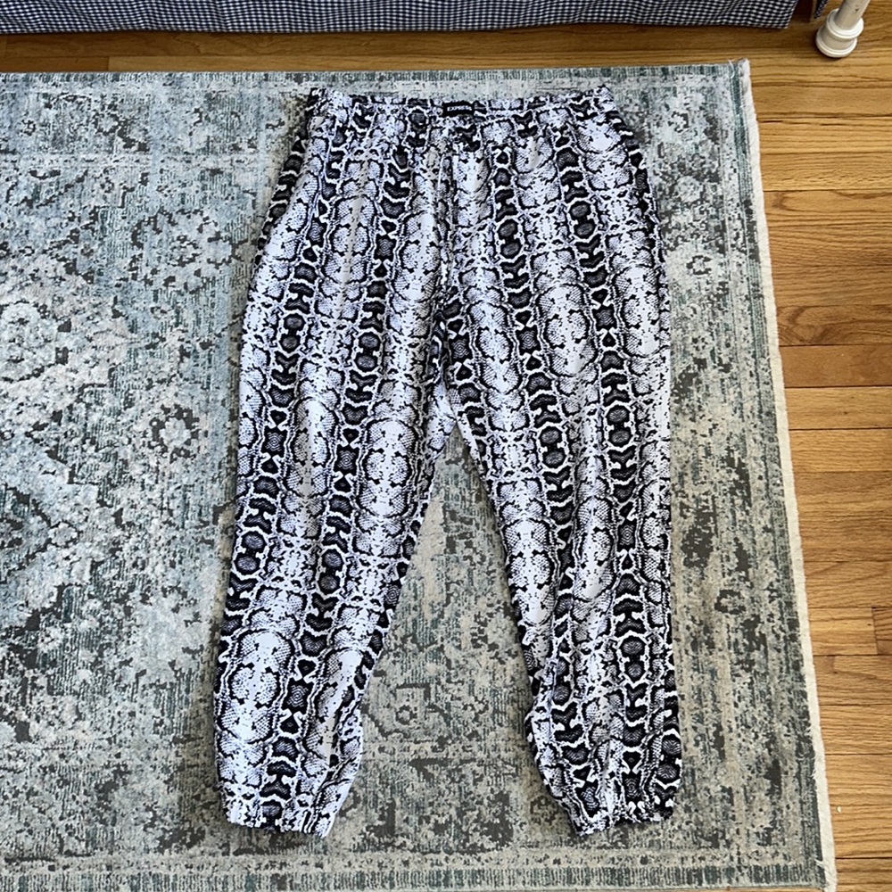 Express Jogger
